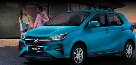 Perodua car door pocket felt-lined, small items kept quiet on the move.