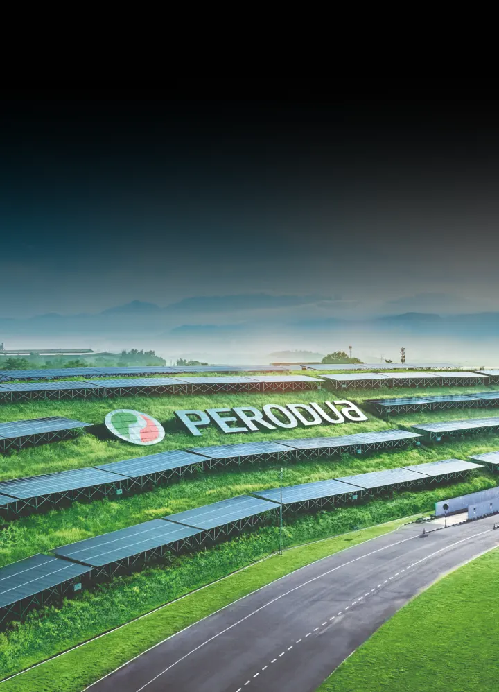 Fleksi Bijak - After Warranty Service | Perodua Service Plan
