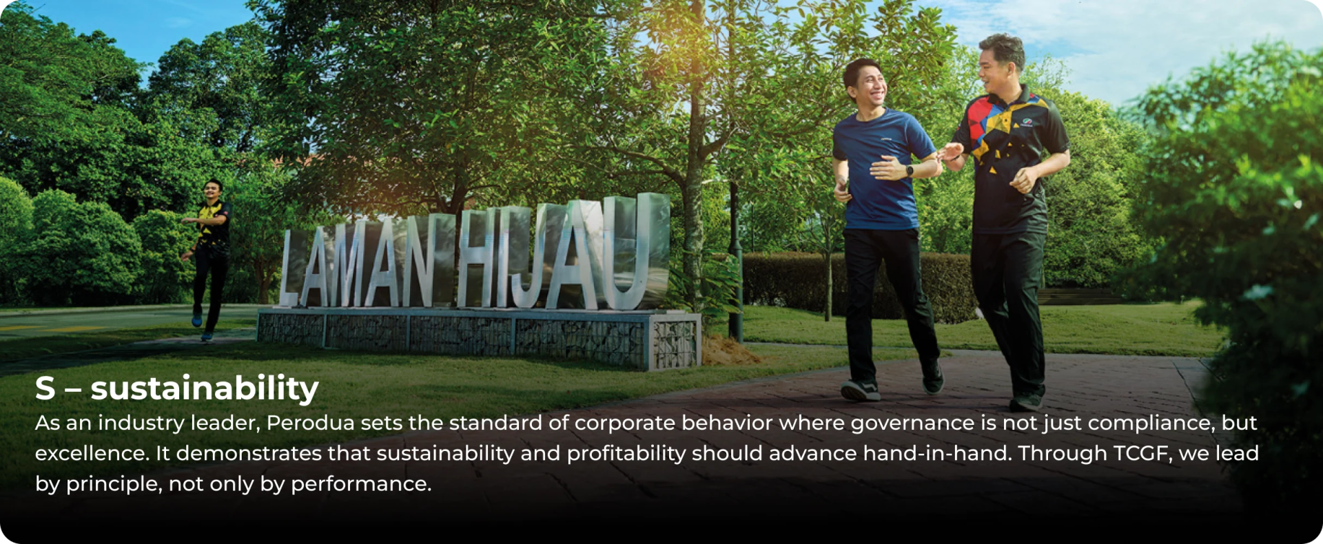 Perodua Tax Corporate Governance Framework – Sustainability pillar icon