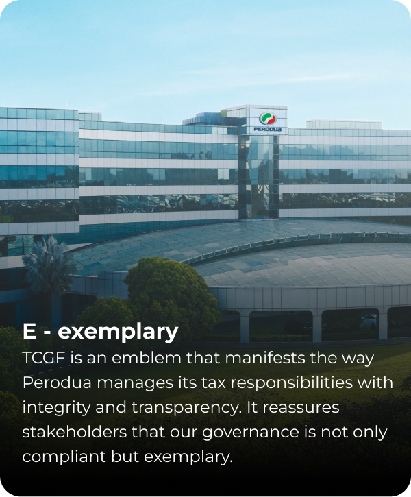Perodua Tax Corporate Governance Framework – Exemplary pillar icon