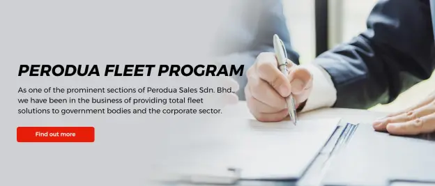 Perodua car door handle recess close-up, a simple everyday touchpoint in focus.