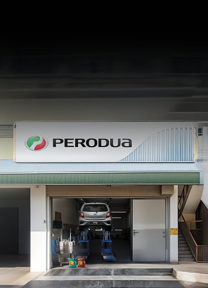 SSP Banner  | Perodua M-Team Professional Service