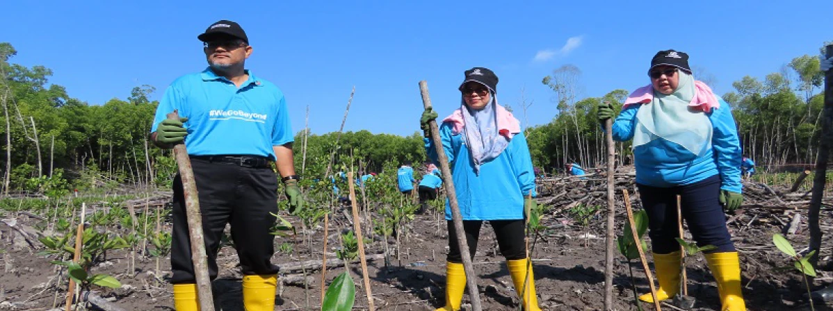 Perodua volunteers plant 1,700 mangrove trees at Kuala Selangor Nature Park